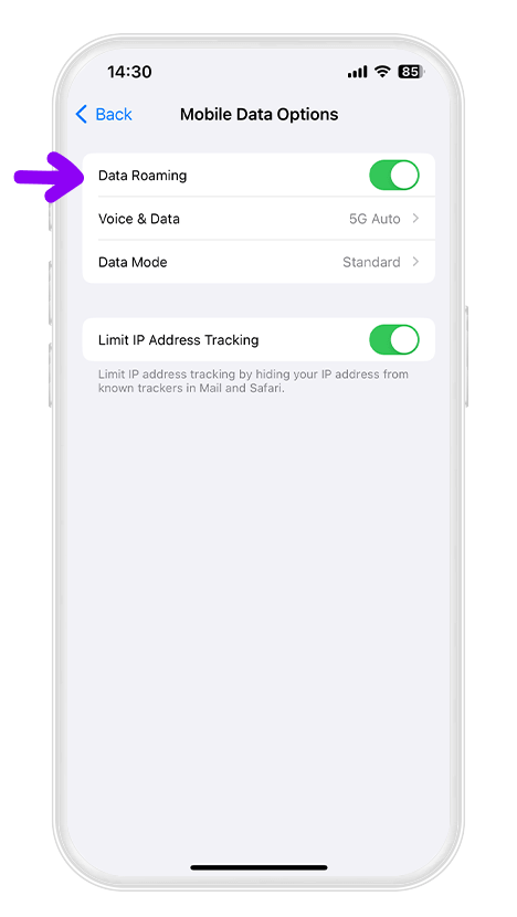 Turn on Data Roaming